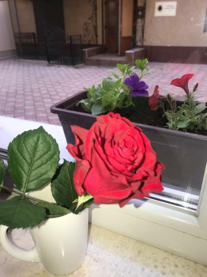 Newtone Apartment Çernivtsi Dış mekan fotoğraf